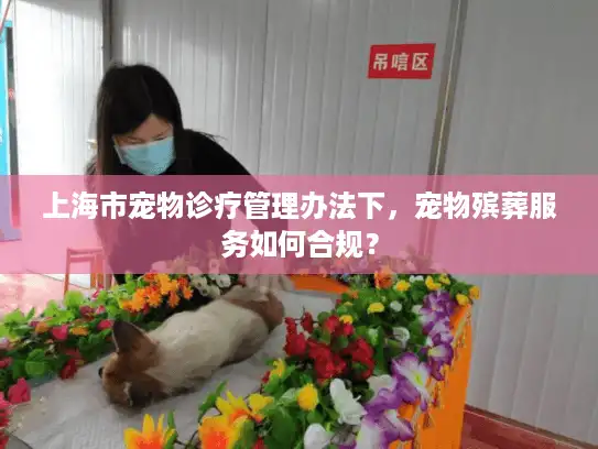 上海市宠物诊疗管理办法下，宠物殡葬服务如何合规？
