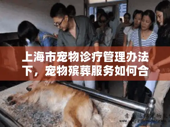 上海市宠物诊疗管理办法下，宠物殡葬服务如何合规？
