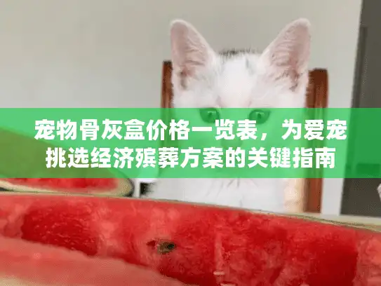 宠物骨灰盒价格一览表，为爱宠挑选经济殡葬方案的关键指南