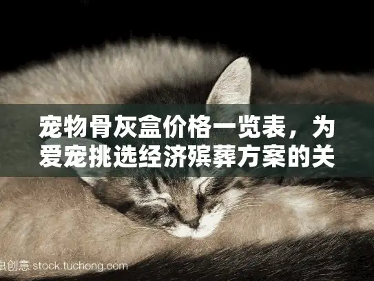 宠物骨灰盒价格一览表，为爱宠挑选经济殡葬方案的关键指南