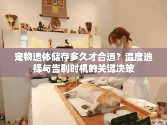 宠物遗体储存多久才合适？温度选择与告别时机的关键决策