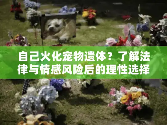 自己火化宠物遗体？了解法律与情感风险后的理性选择