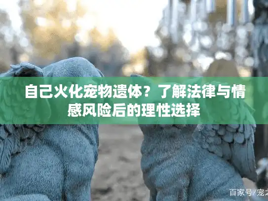 自己火化宠物遗体？了解法律与情感风险后的理性选择