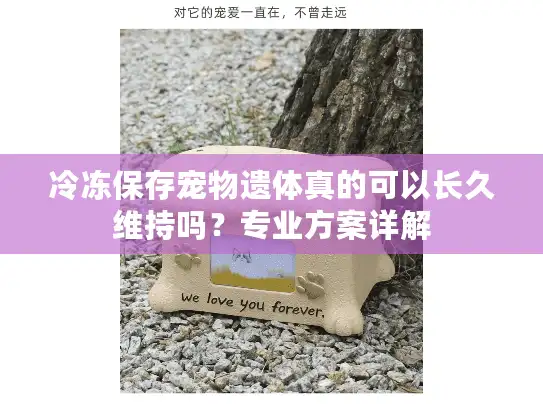 冷冻保存宠物遗体真的可以长久维持吗？专业方案详解