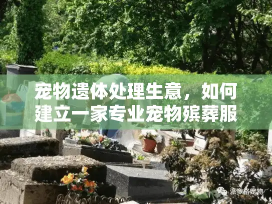 宠物遗体处理生意，如何建立一家专业宠物殡葬服务企业？
