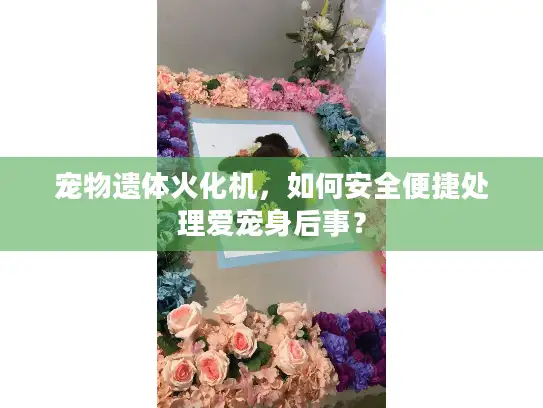 宠物遗体火化机，如何安全便捷处理爱宠身后事？