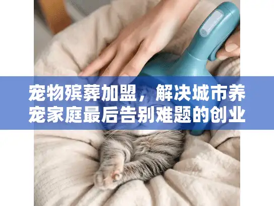 宠物殡葬加盟，解决城市养宠家庭最后告别难题的创业新选择
