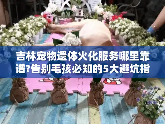 吉林宠物遗体火化服务哪里靠谱?告别毛孩必知的5大避坑指南