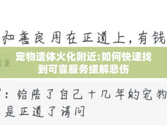 宠物遗体火化附近:如何快速找到可靠服务缓解悲伤