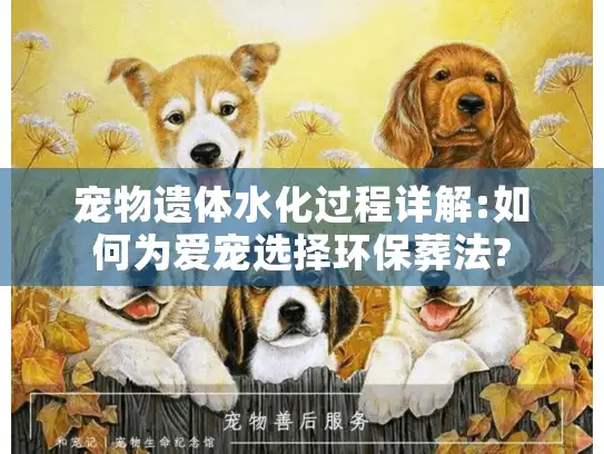 宠物遗体水化过程详解:如何为爱宠选择环保葬法?