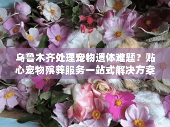 乌鲁木齐处理宠物遗体难题？贴心宠物殡葬服务一站式解决方案