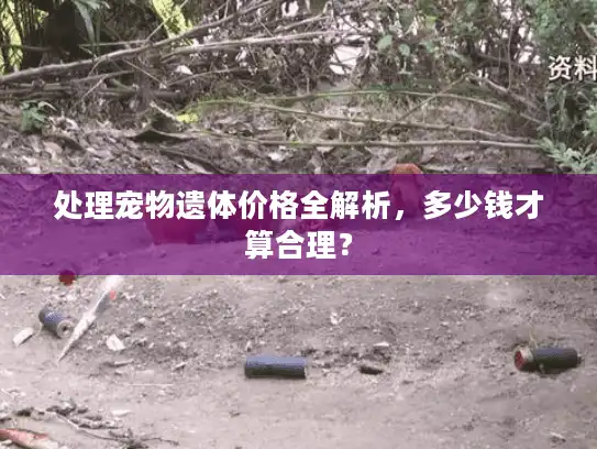 处理宠物遗体价格全解析，多少钱才算合理？