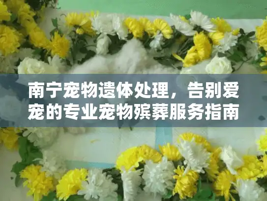 南宁宠物遗体处理，告别爱宠的专业宠物殡葬服务指南