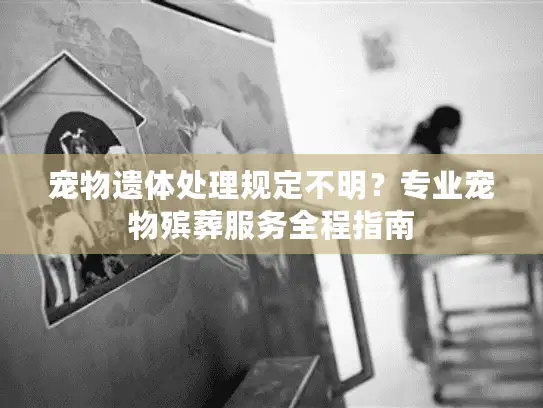 宠物遗体处理规定不明？专业宠物殡葬服务全程指南