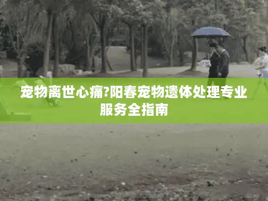 宠物离世心痛?阳春宠物遗体处理专业服务全指南