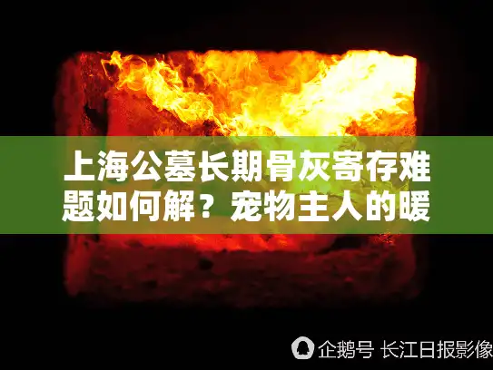 上海公墓长期骨灰寄存难题如何解？宠物主人的暖心指南