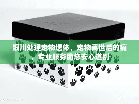 银川处理宠物遗体，宠物离世后的痛，专业服务助您安心道别