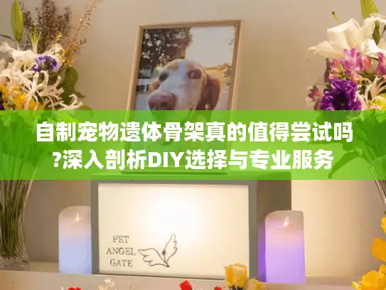 自制宠物遗体骨架真的值得尝试吗?深入剖析DIY选择与专业服务