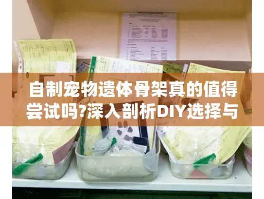 自制宠物遗体骨架真的值得尝试吗?深入剖析DIY选择与专业服务