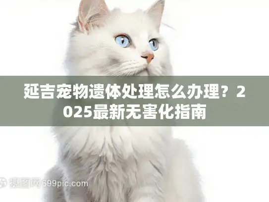 延吉宠物遗体处理怎么办理？2025最新无害化指南