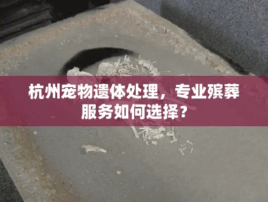 杭州宠物遗体处理，专业殡葬服务如何选择？