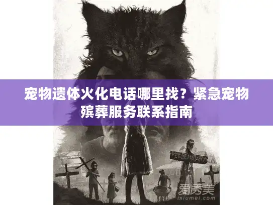 宠物遗体火化电话哪里找？紧急宠物殡葬服务联系指南