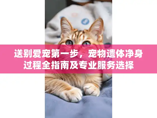 送别爱宠第一步，宠物遗体净身过程全指南及专业服务选择