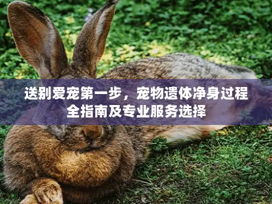 送别爱宠第一步，宠物遗体净身过程全指南及专业服务选择