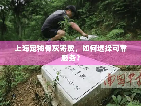 上海宠物骨灰寄放，如何选择可靠服务？