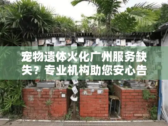 宠物遗体火化广州服务缺失？专业机构助您安心告别