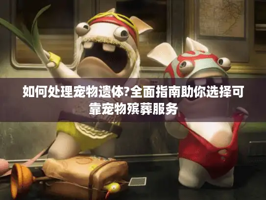 如何处理宠物遗体?全面指南助你选择可靠宠物殡葬服务