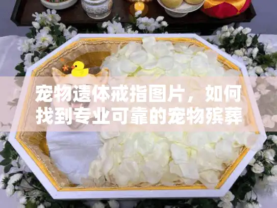 宠物遗体戒指图片，如何找到专业可靠的宠物殡葬服务？