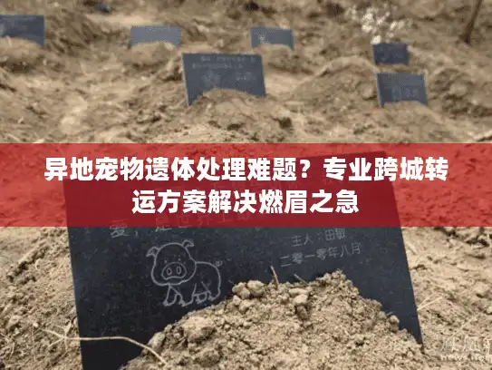 异地宠物遗体处理难题？专业跨城转运方案解决燃眉之急