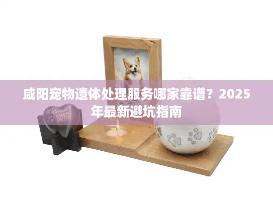 咸阳宠物遗体处理服务哪家靠谱？2025年最新避坑指南
