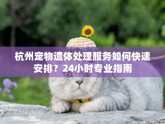 杭州宠物遗体处理服务如何快速安排？24小时专业指南