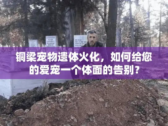 铜梁宠物遗体火化，如何给您的爱宠一个体面的告别？