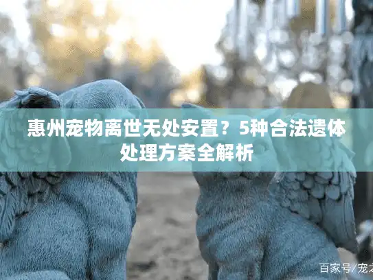 惠州宠物离世无处安置？5种合法遗体处理方案全解析