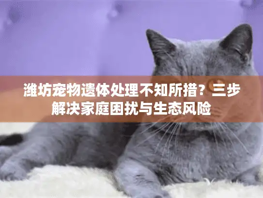 潍坊宠物遗体处理不知所措？三步解决家庭困扰与生态风险
