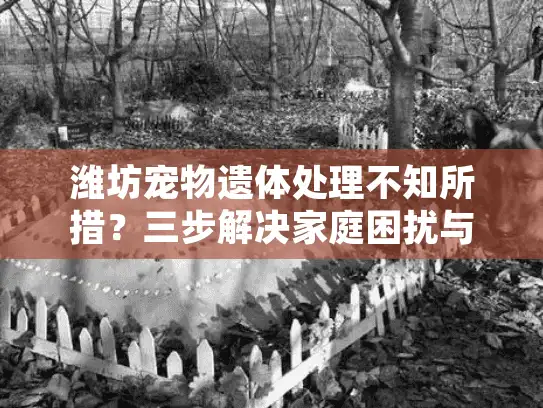 潍坊宠物遗体处理不知所措？三步解决家庭困扰与生态风险