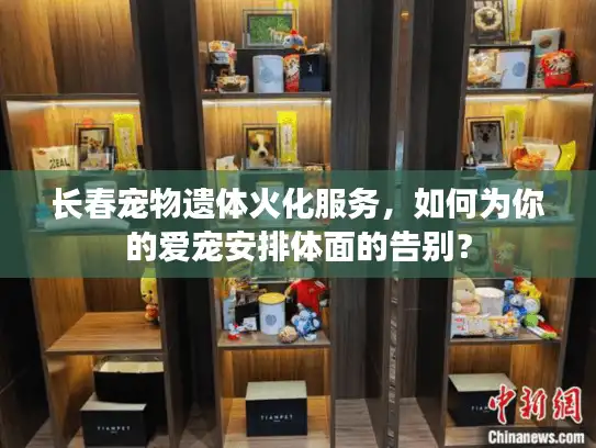 长春宠物遗体火化服务，如何为你的爱宠安排体面的告别？
