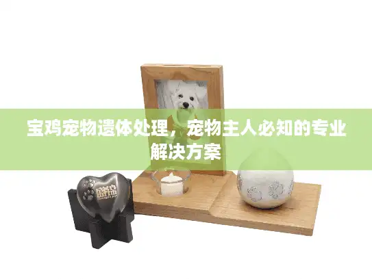 宝鸡宠物遗体处理，宠物主人必知的专业解决方案