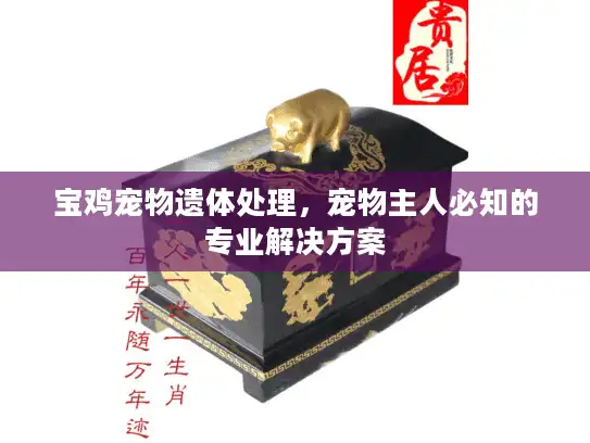 宝鸡宠物遗体处理，宠物主人必知的专业解决方案