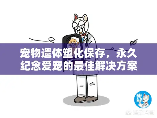 宠物遗体塑化保存，永久纪念爱宠的最佳解决方案是什么？