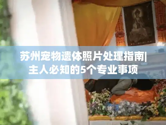 苏州宠物遗体照片处理指南|主人必知的5个专业事项