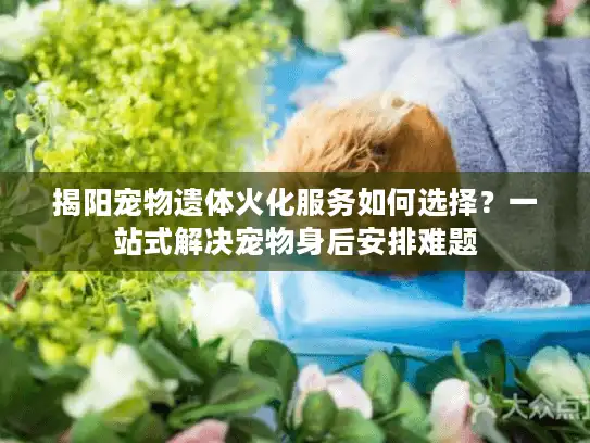 揭阳宠物遗体火化服务如何选择？一站式解决宠物身后安排难题