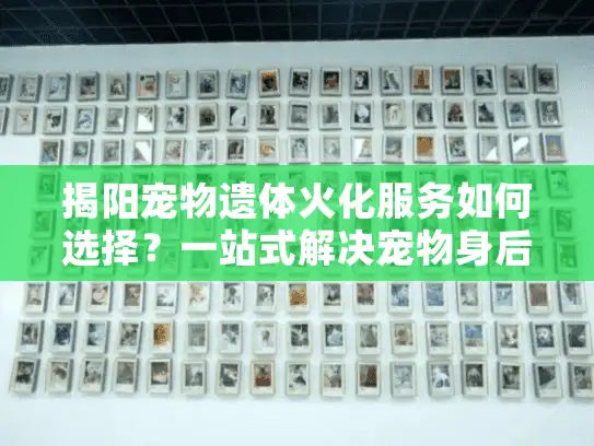 揭阳宠物遗体火化服务如何选择？一站式解决宠物身后安排难题