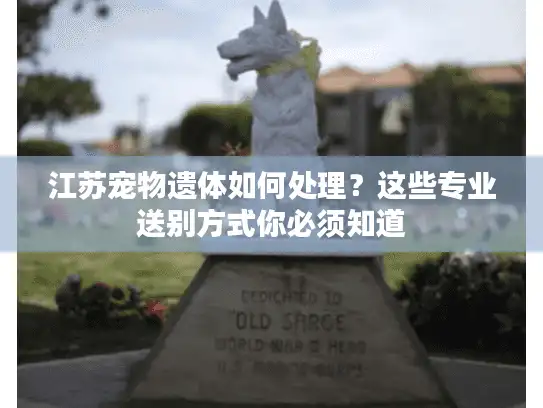 江苏宠物遗体如何处理？这些专业送别方式你必须知道