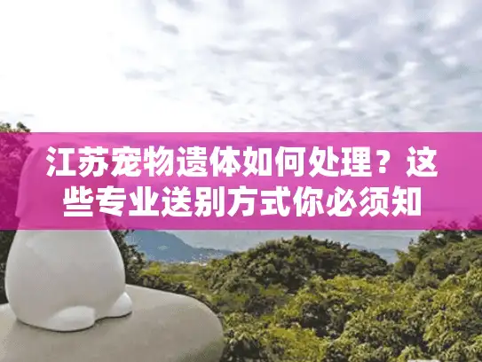 江苏宠物遗体如何处理？这些专业送别方式你必须知道