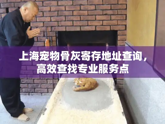 上海宠物骨灰寄存地址查询，高效查找专业服务点