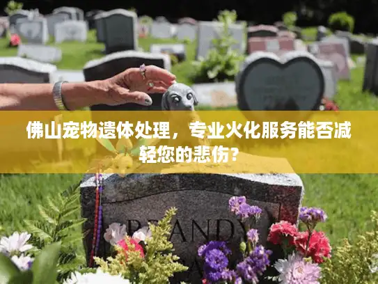 佛山宠物遗体处理，专业火化服务能否减轻您的悲伤？